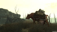 fallout fallout
