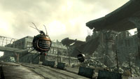 fallout fallout
