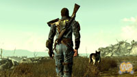 fallout