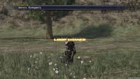 last remnant